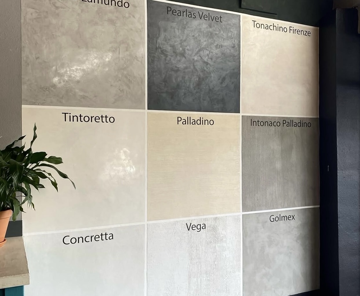 Our showroom wall showcasing various plaster finishes including Concretta, Palladino, and Tintoretto